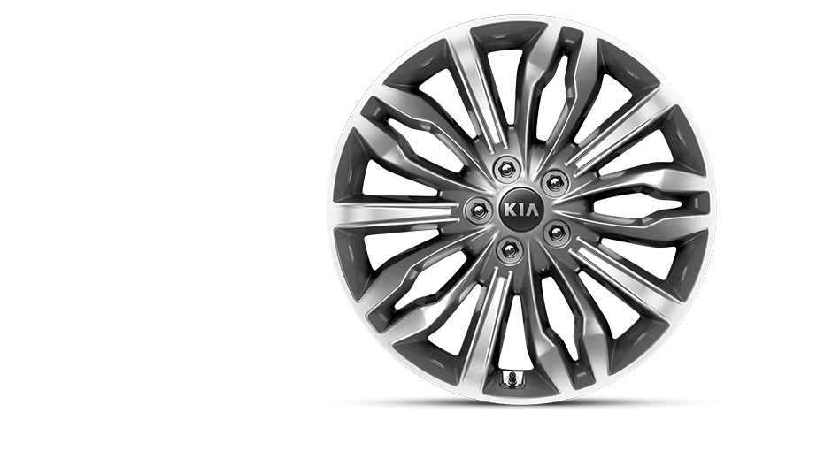 245/40R 19" Chrome-Sputtered Alloy Wheel