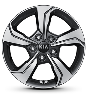 عجلات ألمنيوم مقاس 16 بوصة مقاس 205/55 R16 - رمادي معدني داكن 