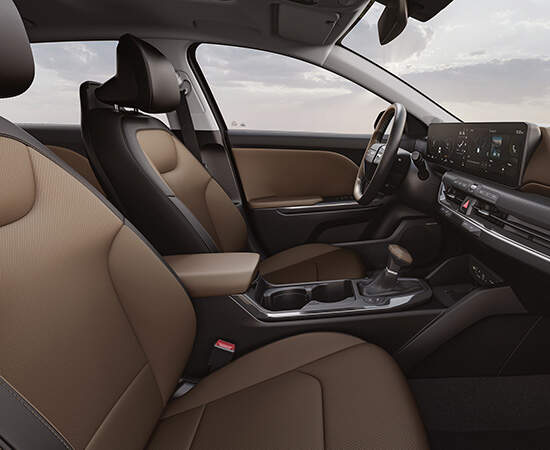 بني كانيون (جلد صناعي)