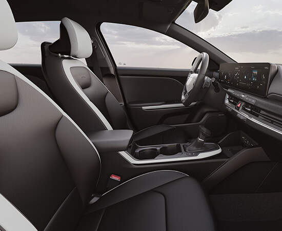 أسود أونيكس (جلد صناعي)