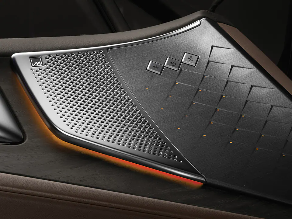 Meridian premium sound (14-speaker)