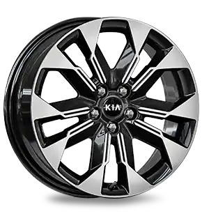 235/55R  Alloy Wheel 