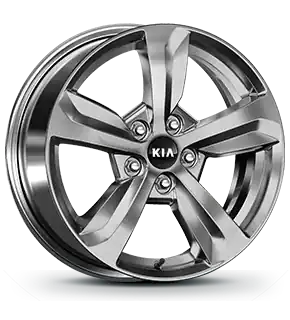 235/65R 17-inch alloy wheel