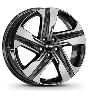 235/55R 19-inch alloy wheel