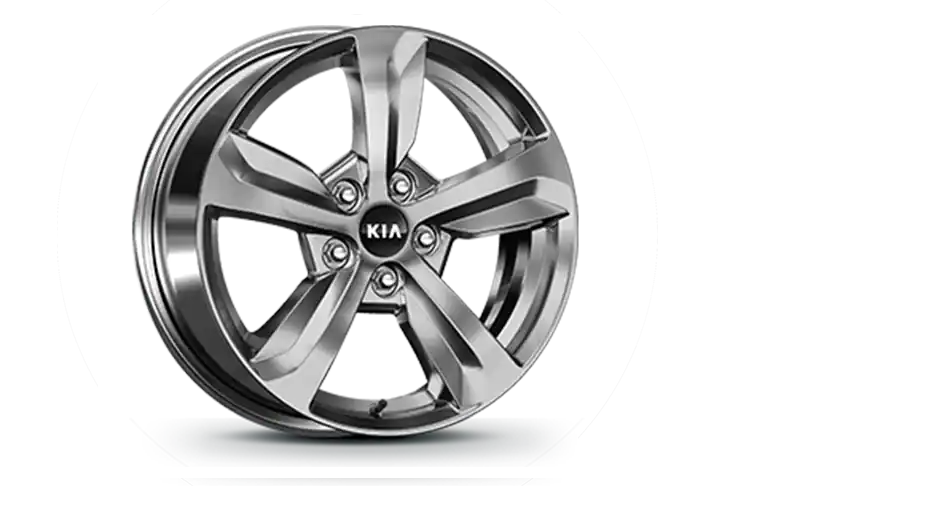 235/65R 17-inch alloy wheel