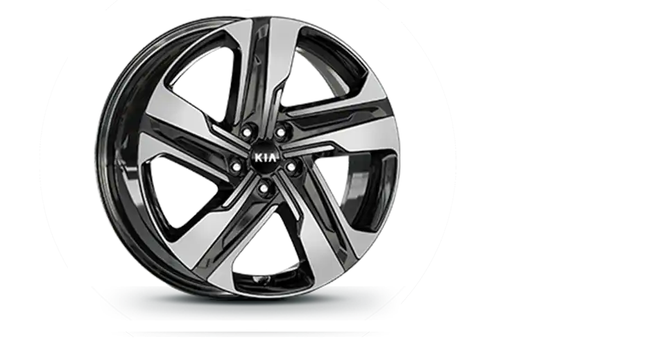 235/55R 19-inch alloy wheel