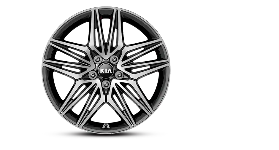 225/40R (Front)  l  255/35R (Rear)