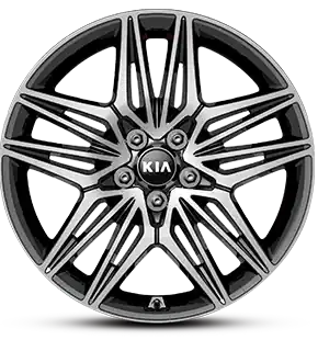 225/40R (Front)  l  255/35R (Rear)