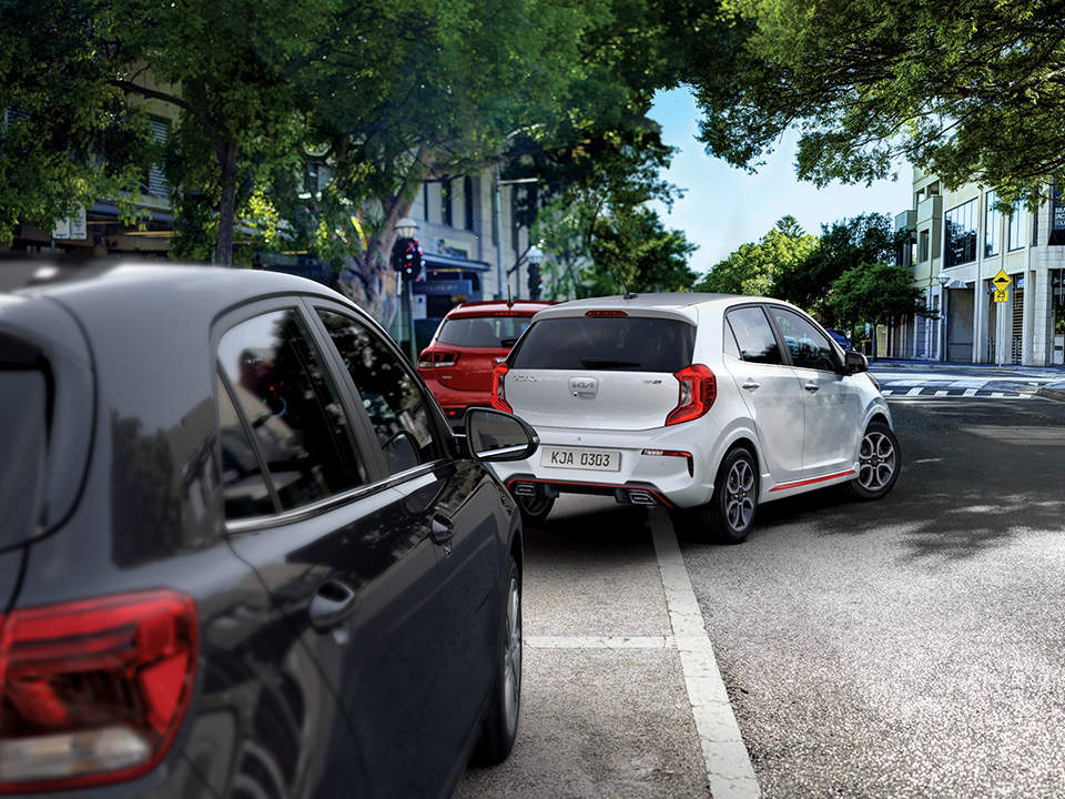 PDW-R (Parking Distance Warning - Reverse)