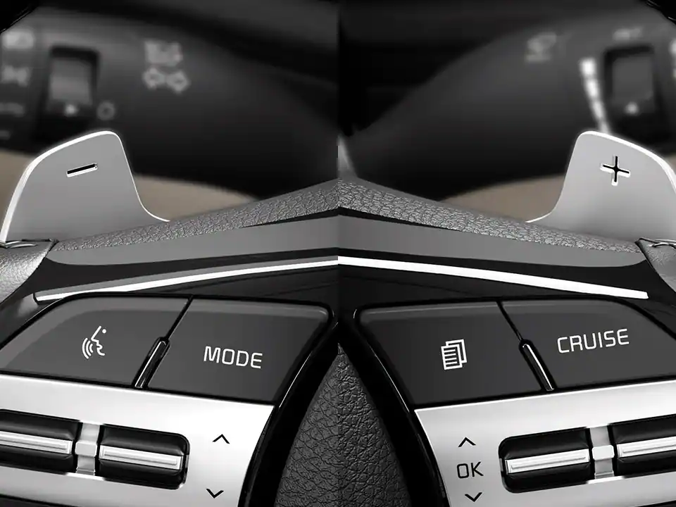 Paddle shifters